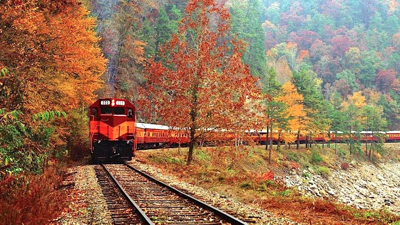 Fall Foliage Train